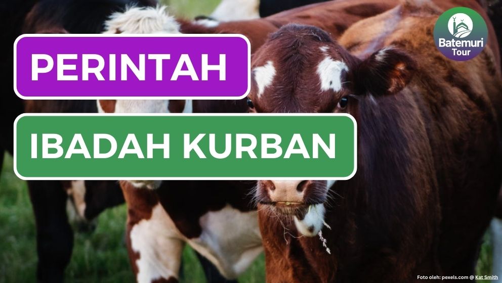 Korbankan Hartamu, Wujud Taqwamu!!! Perintah Ritual Ibadah Kurban, Al Hajj 34 - 35